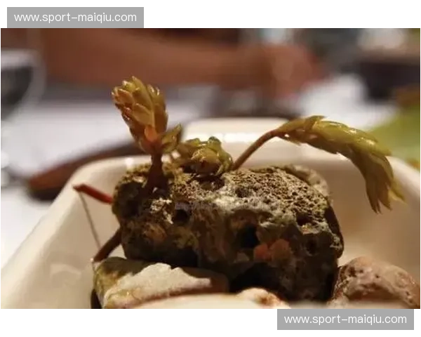 墨西哥VS爱尔兰：一场跨越山海的美食与文化的味蕾探戈